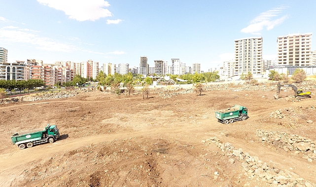 Şanlıurfa'da Yanan Alanları Yeniden Yeşillendiriyoruz.