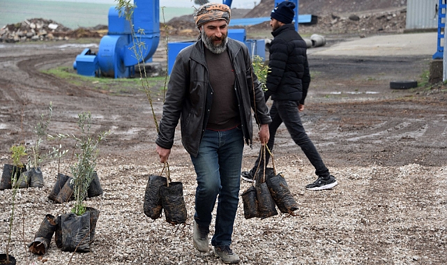 Siverek Belediyesinden çiftçilere meyve fidanı desteği