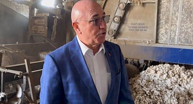 Tanal: Şanlıurfalı pamuk üreticileri isyanda!