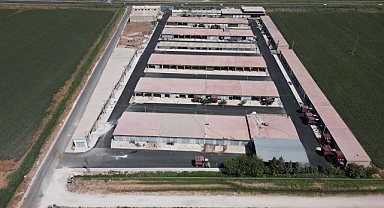 Uğurlu Sanayi Sitesi'nin Asfaltı Tamamlandı
