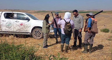 Urfa'da 4 avcıya ceza!