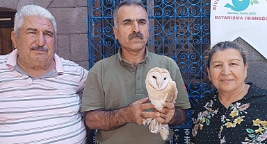 Urfa'da bitkin halde bulundu! Tedavisi yapıldı!