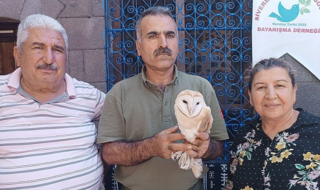Urfa'da bitkin halde bulundu! Tedavisi yapıldı!