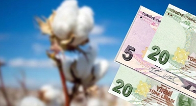 Urfa'da en yüksek fiyata satılan ürün belli oldu!