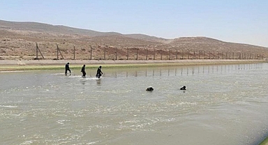Urfa'da önce darp ettiler ardından sulama kanalına attılar!