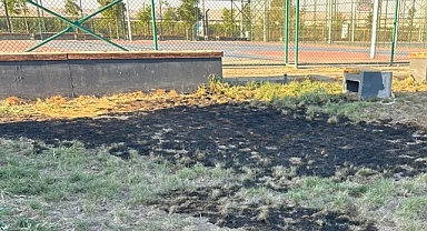 Urfa'daki Millet Bahçesinde çimleri ateşe verip izlediler!