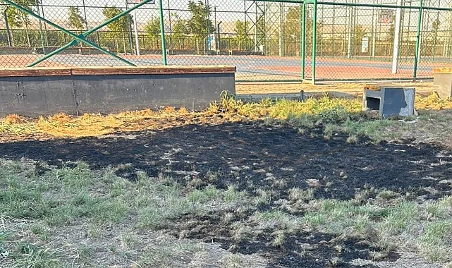 Urfa'daki Millet Bahçesinde çimleri ateşe verip izlediler!
