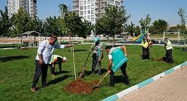 Yemyeşil Bir Haliliye İçin Ağaçlandırma Çalışmaları Sürüyor