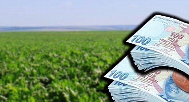 Bakan açıkladı! 715 milyon 751 bin TL hesaplara aktarıldı!