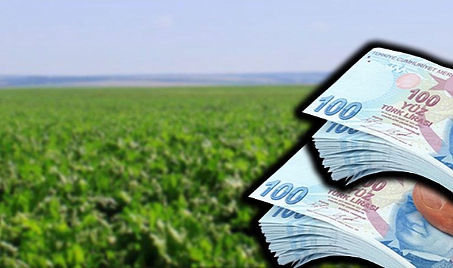Bakan açıkladı! 715 milyon 751 bin TL hesaplara aktarıldı!