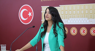 Dilan Kunt Ayan Mecliste Şanlıurfa İçin Konuştu