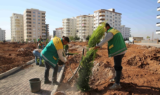 Karaköprü'de Yeni Parklar Ağaçlandırılıyor