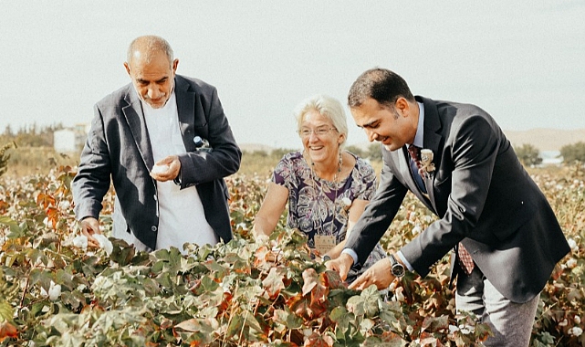 Küresel standartların uygulanması, Güneydoğu Anadolu'daki pamuk çiftçilerine kâr sağlıyor