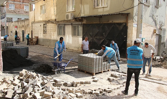 Mahalle Muhtarları, Hizmetlerden Ötürü Başkan Canpolat’a Teşekkür Etti