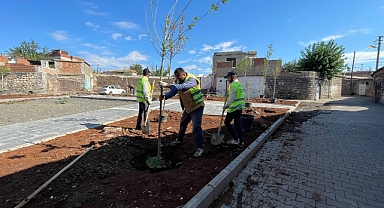 Siverek'te park ve yeşil alanı olmayan mahalle kalmayacak