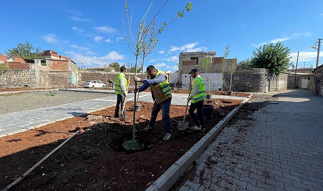 Siverek'te park ve yeşil alanı olmayan mahalle kalmayacak