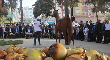 Suruç'ta At ve Nar Festivali düzenlendi