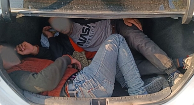 Urfa'da araba bagajından çıktılar!