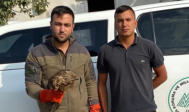 Urfa’da bulundu: Tedavi edilecek