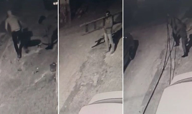 Urfa'da pes dedirten hırsızlık olayı kamerada!