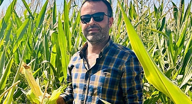 ZMO Başkanı Yılmaz açıkladı! Urfa'da mısır fiyatları belli oldu!