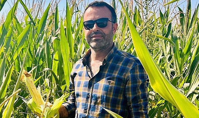 ZMO Başkanı Yılmaz açıkladı! Urfa'da mısır fiyatları belli oldu!