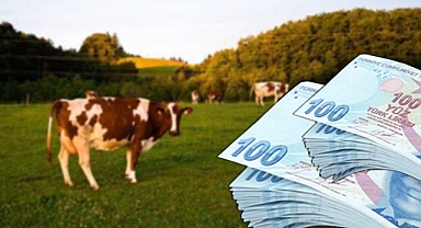 Bakanlık duyurdu! 168 milyon 957 bin TL hesaplara aktarıldı!
