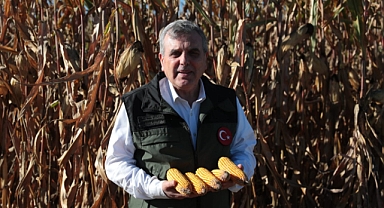 Başkan Beyazgül, Mısır Hasadına Katıldı