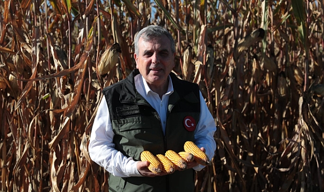 Başkan Beyazgül, Mısır Hasadına Katıldı