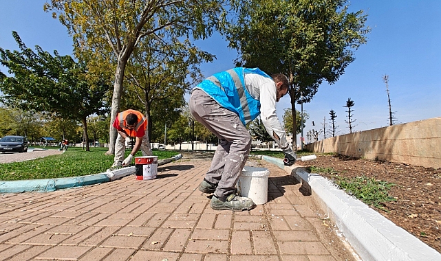 Eyyübiye Yeşile Bürünüyor