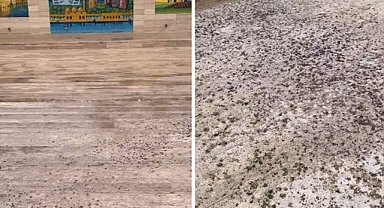 Harran Üniversitesi’ndeki görüntü tepki çekti!