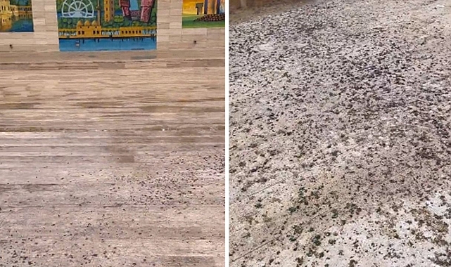 Harran Üniversitesi’ndeki görüntü tepki çekti!