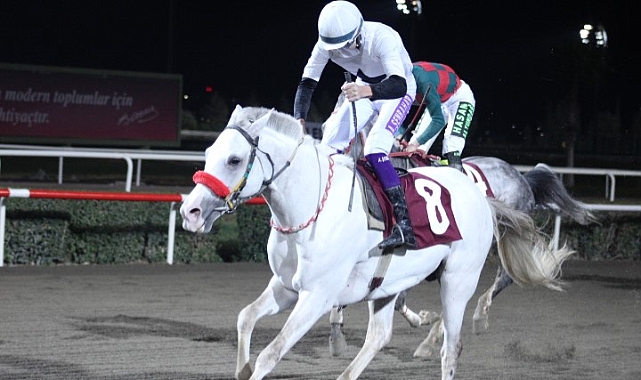Hilvan Belediye Başkanlığı Koşusu ’nu İkinci Kez Hilvanlım Kazandı