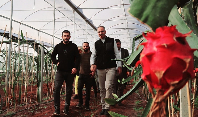 Şanlıurfa’da İlk Kez Eyyübiye’de Yetiştirildi