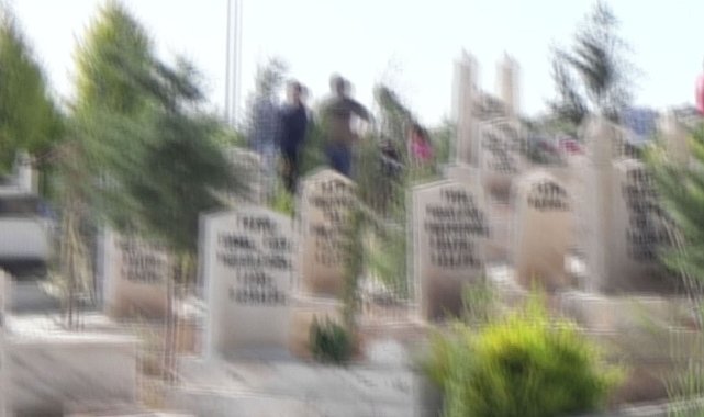 Urfa'da 11 kişi öldü!