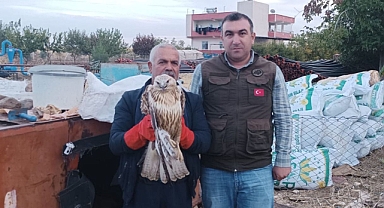 Urfa’da bitkin halde bulundu!