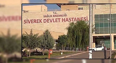 Urfa’nın ilçesinde at arabası devrildi: Yaralılar var!