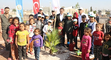 Viranşehir’de fidan dikimi gerçekleşti!