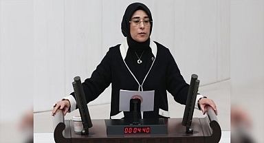 AK Parti Milletvekili Yazmacı GAP'ı anlattı