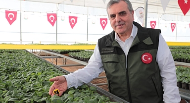 Rengarenk Çiçekler Şanlıurfa Sokaklarını Süsleyecek