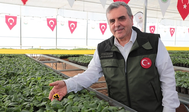 Rengarenk Çiçekler Şanlıurfa Sokaklarını Süsleyecek
