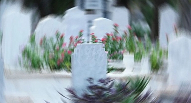 Şanlıurfa'da 3'ü kadın 7 kişi hayatını kaybetti!