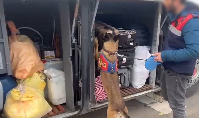 Urfa’nın 3 ilçesinde şoka uğrattılar!