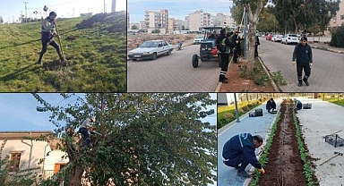 Viranşehir Belediyesinden Yeşil Alanlarda Hummalı Çalışma