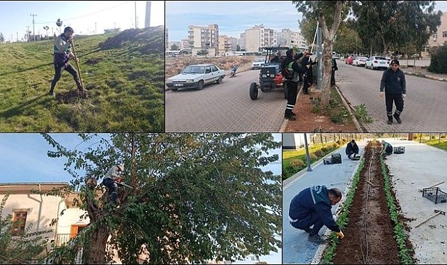 Viranşehir Belediyesinden Yeşil Alanlarda Hummalı Çalışma