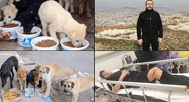 HÜDA PAR; Katil köpekler mi köpekleri kontrolsüzce besleyenler mi?