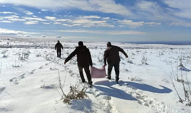 Urfa'nın bazı bölgelerini kar vurdu! Ekipler harekete geçti