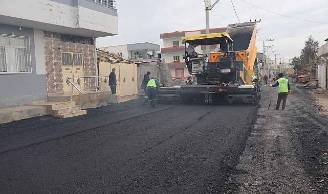 Viranşehir'de asfalt çalışmaları hız kesmeden devam ediyor