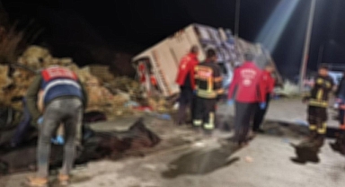 Yolcu otobüsü devrildi! 9 ölü, 30 yaralı!
