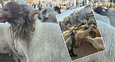 Çiftçi rakamları paylaştı: Şanlıurfa ticaretinde ilk üçteyiz!
